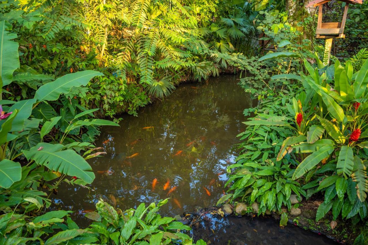 El Jardin Lodge & Spa Puerto Misahuallí Zewnętrze zdjęcie